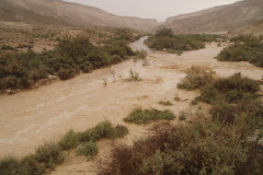 Negev - More