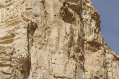 Negev