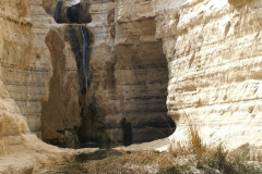 Negev