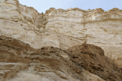 Negev