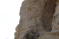 Negev