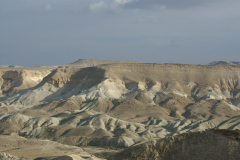 Negev