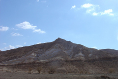 Negev_Clyde341