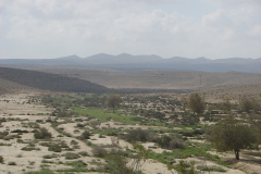 Negev