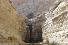Negev