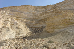 Negev