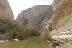 Negev