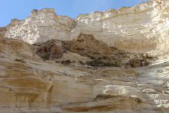 NegevNegev