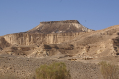 Negev