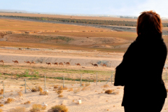 Tel Beer Sheva