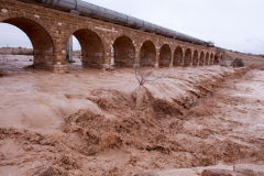 Wadi Flood 6