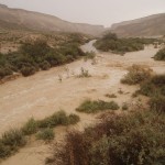 Streams in the Negev – Nahal Zin