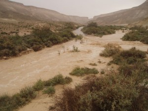 Streams in the Negev - Nahal Zin